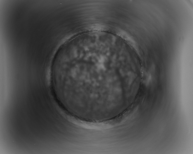 X0000093140012200710101125