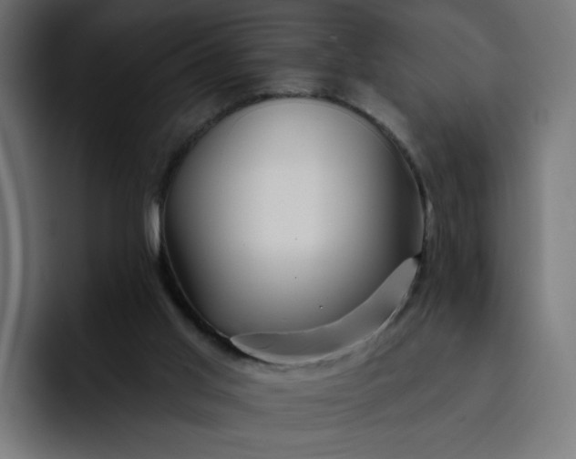 X0000093140013200710101125