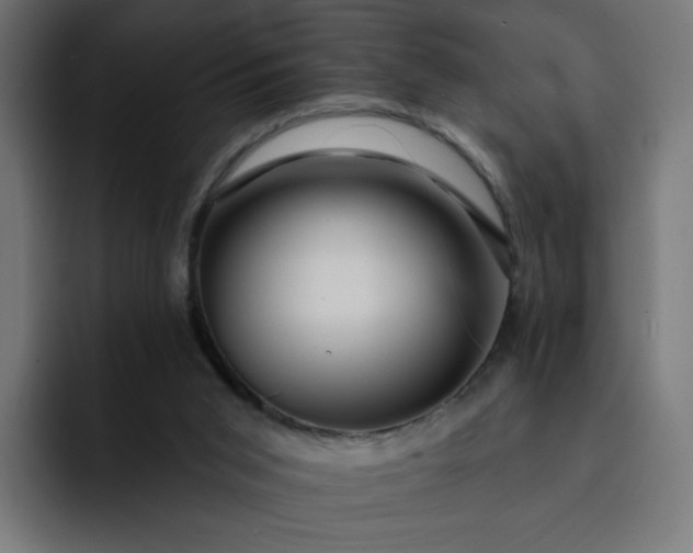 X0000093140015200710101125