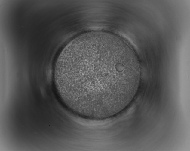 X0000093140016200710101125