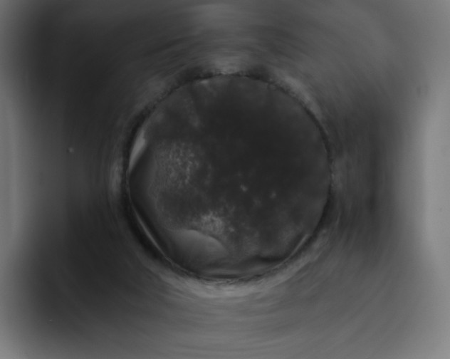 X0000093140018200710101125