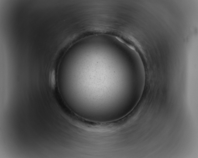 X0000093140020200710101125