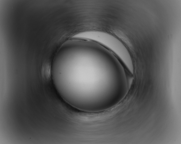 X0000093140021200710101125