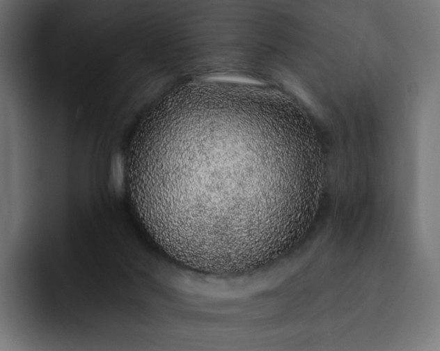 X0000093140022200710101125