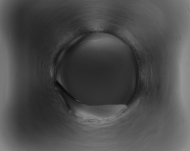 X0000093140023200710101125