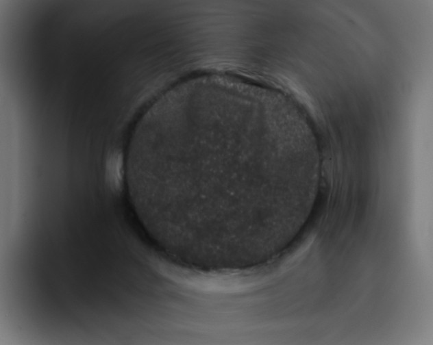 X0000093140024200710101125