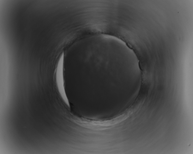 X0000093140027200710101125