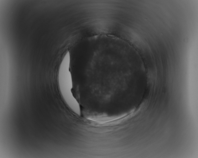 X0000093140029200710101125