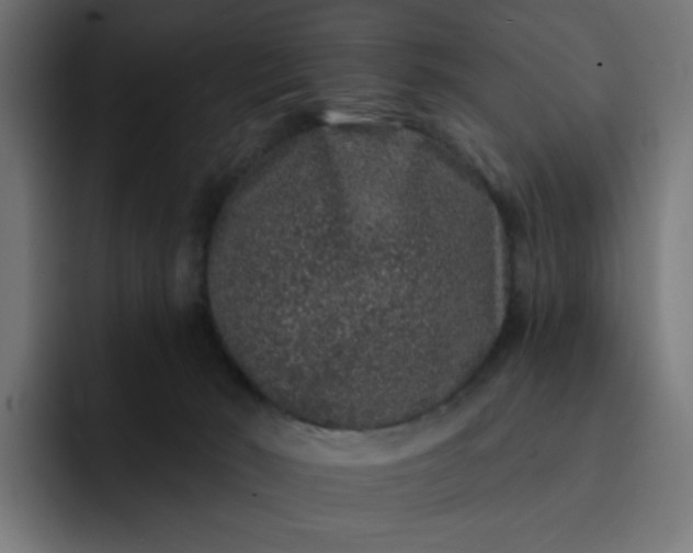 X0000093140030200710101125