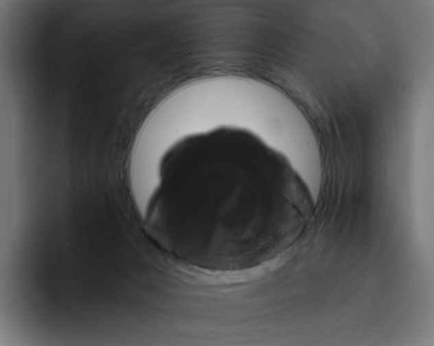 X0000093140031200710101125