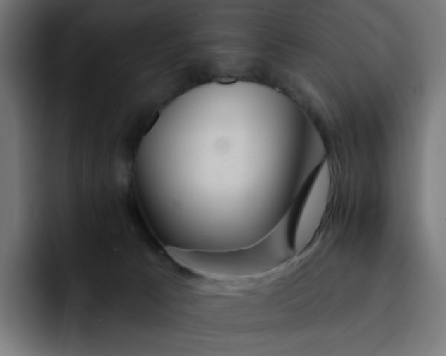 X0000093140033200710101125