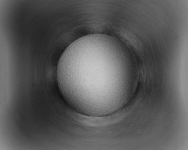 X0000093140034200710101125