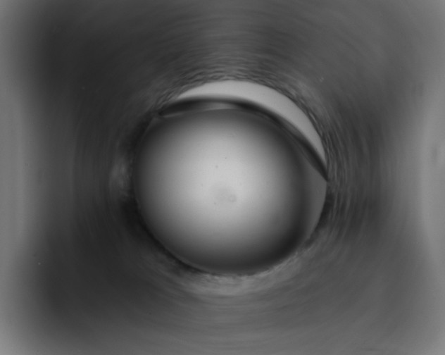 X0000093140037200710101125