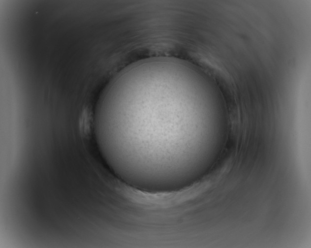 X0000093140038200710101125