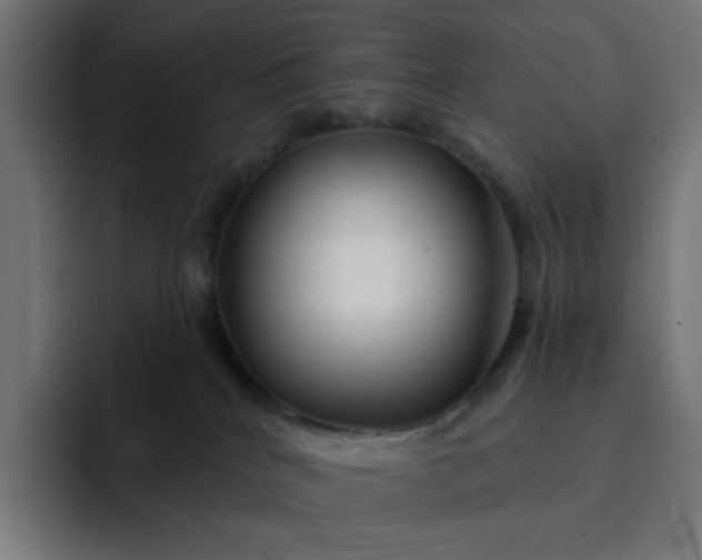 X0000093140040200710101125