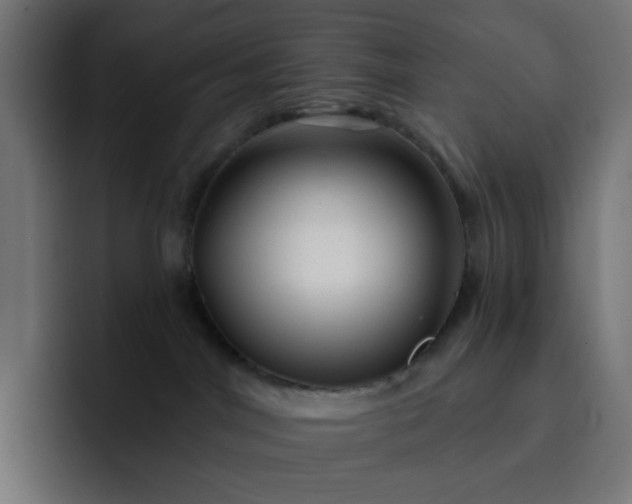 X0000093140044200710101125