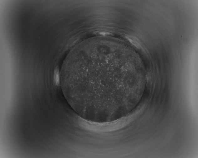 X0000093140046200710101125