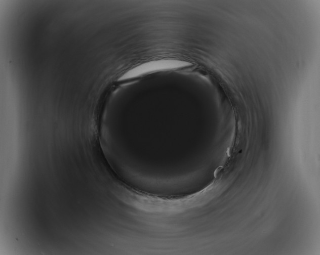 X0000093140048200710101125