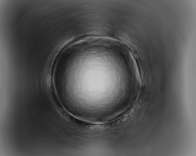 X0000093140050200710101124