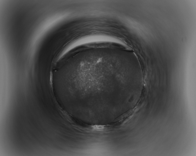 X0000093140052200710101125