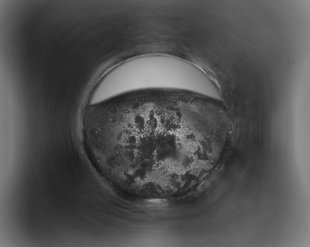 X0000093140053200710101125