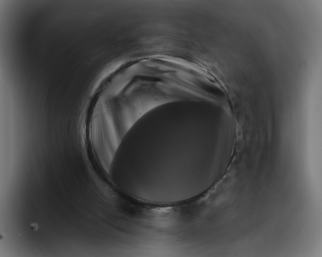 X0000093140054200710101125