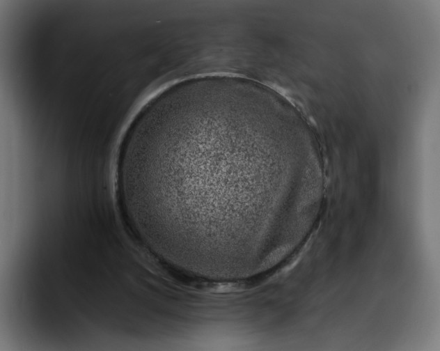 X0000093140056200710101125