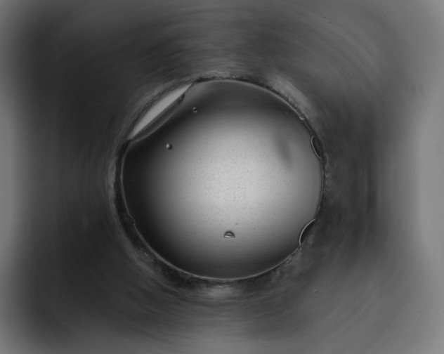 X0000093140058200710101125