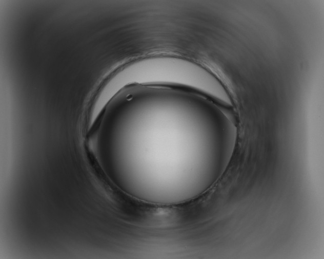 X0000093140060200710101125