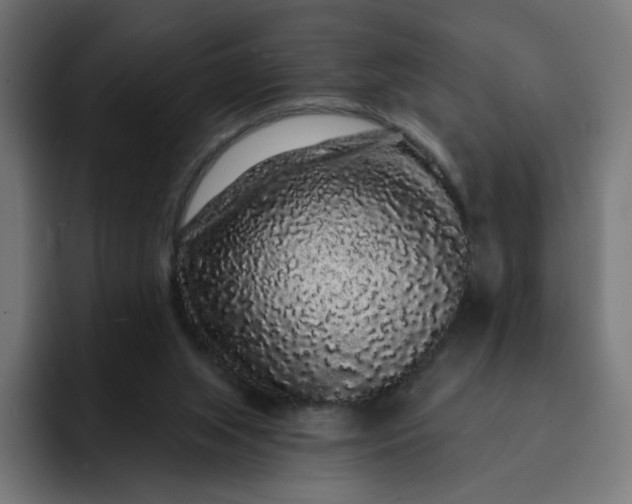 X0000093140063200710101125