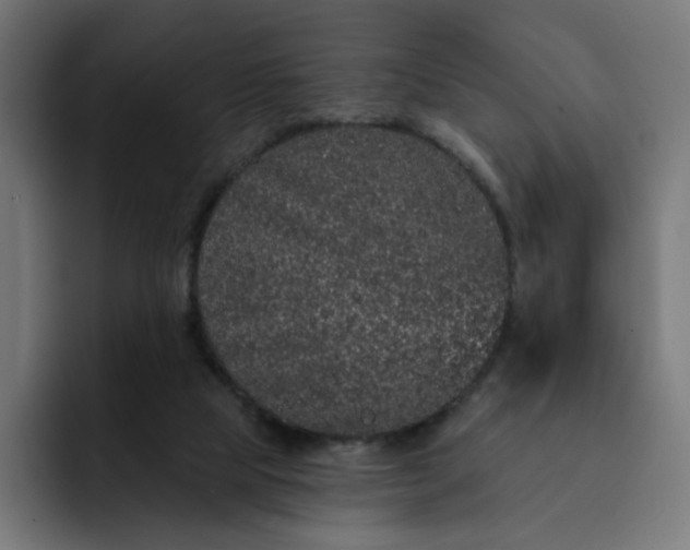 X0000093140065200710101125