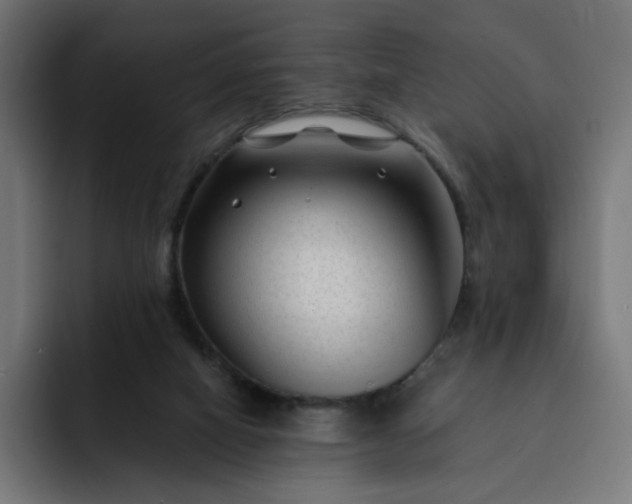 X0000093140066200710101125