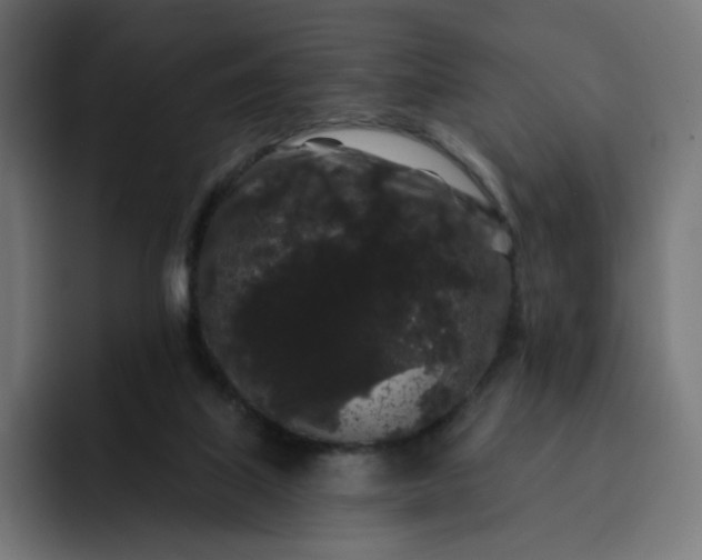 X0000093140067200710101125