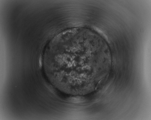 X0000093140069200710101125