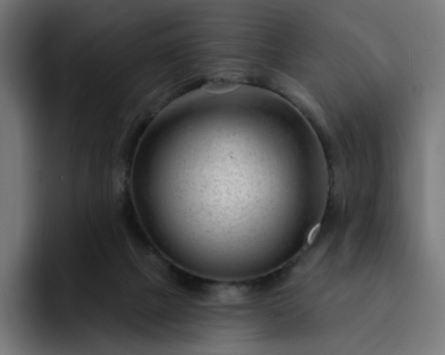 X0000093140073200710101125