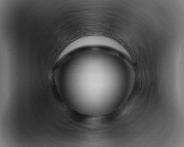 X0000093140084200710101125