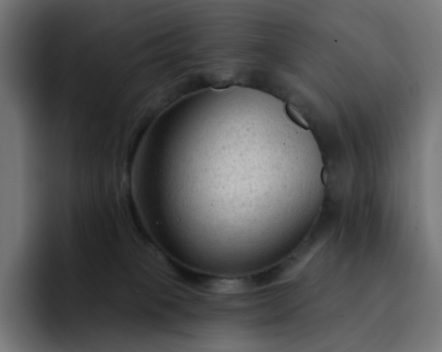 X0000093140085200710101125