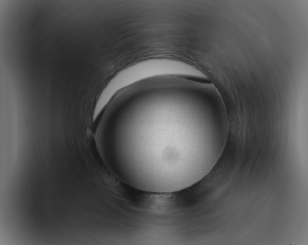 X0000093140089200710101125