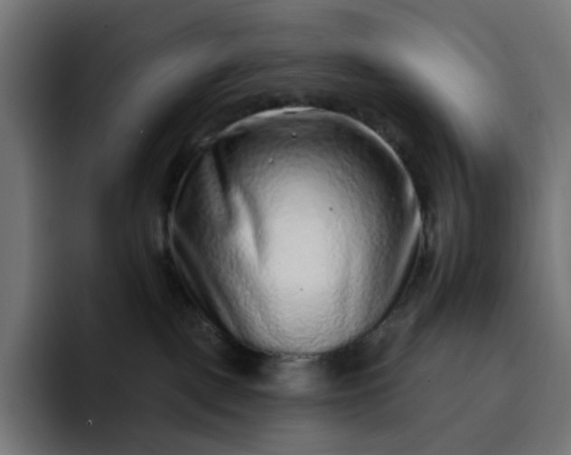 X0000093140093200710101125