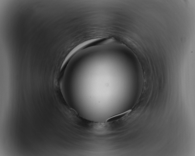 X0000093140096200710101125