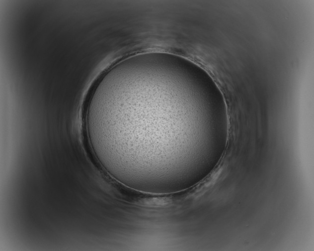 X0000093140102200710101124