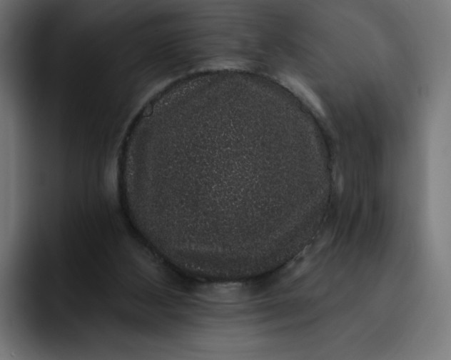 X0000093140108200710101124