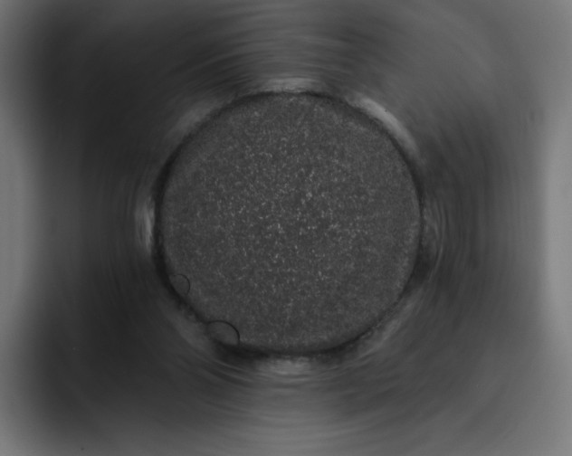 X0000093140110200710101124