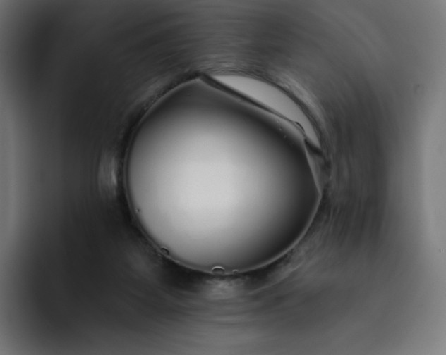 X0000093140115200710101124