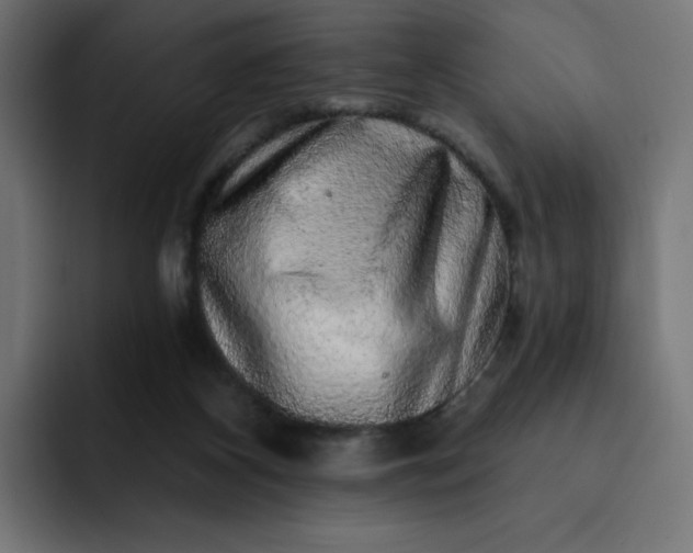 X0000093140116200710101124