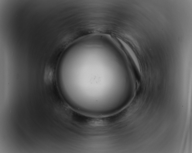 X0000093140123200710101124