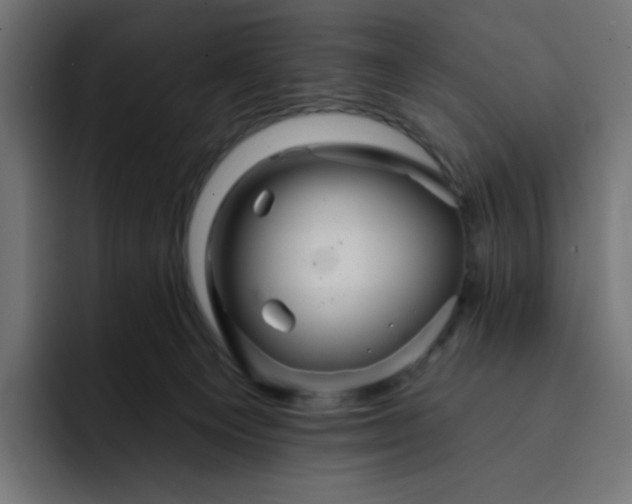 X0000093140129200710101124