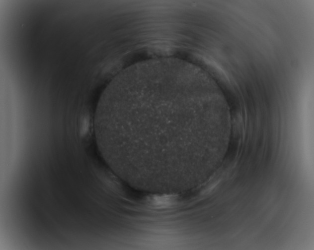 X0000093140134200710101124