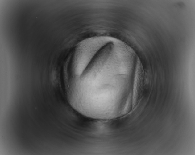 X0000093140136200710101124