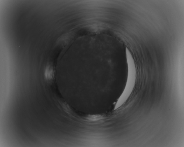 X0000093140137200710101124